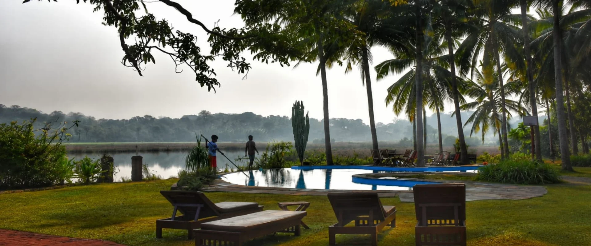The backwaters of Goa