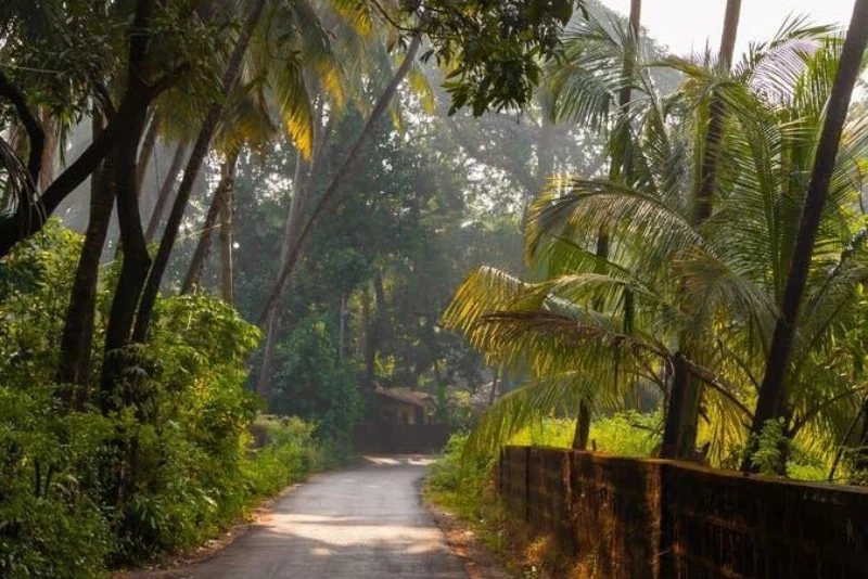 Guhagar Village Walk