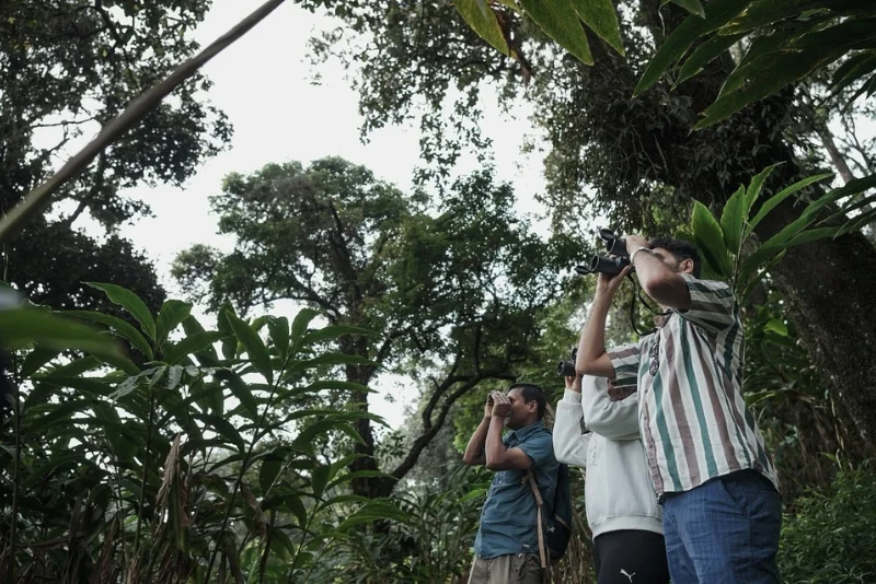 Bird-watching with the resident naturalist