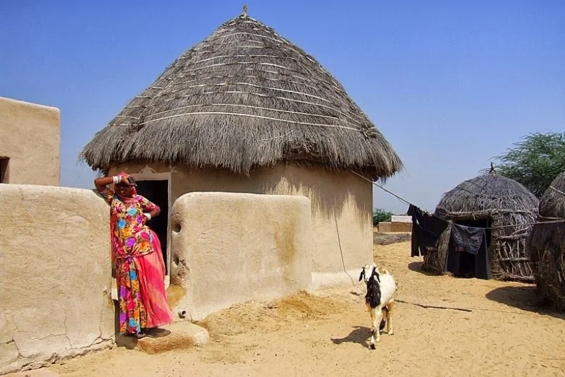 Village & Jungle Walks