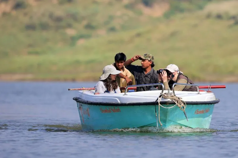 Boat rides - Gharial spotting on the Chambal river
