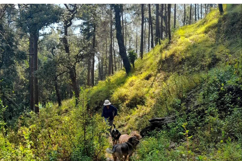 Kumaon