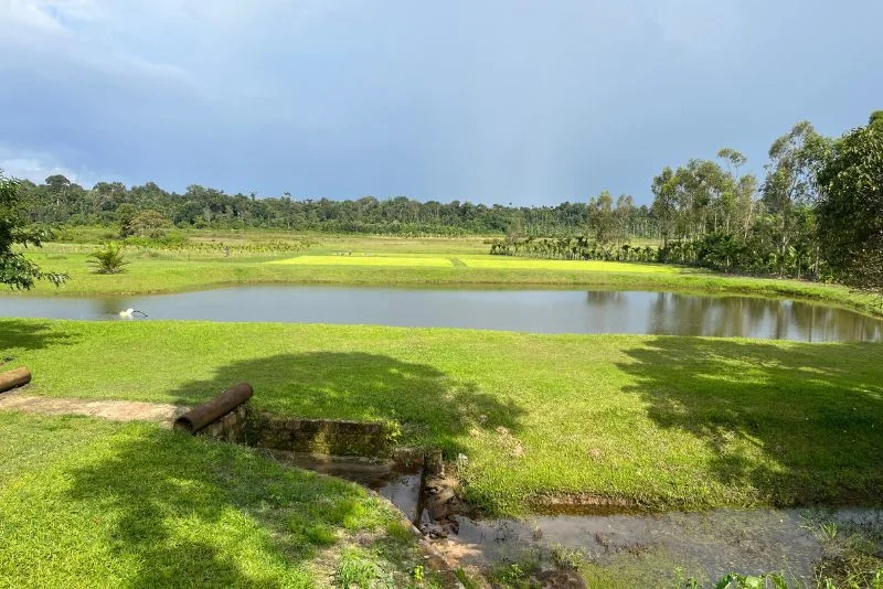 Chengappa Estate Homestead